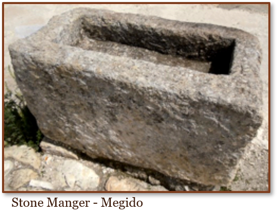 Stone Manger- Megido