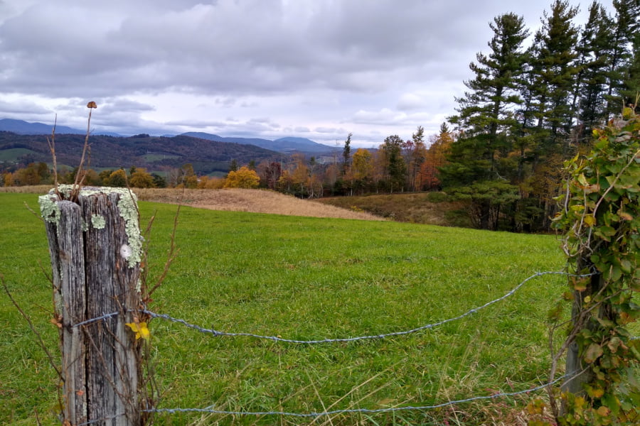 Rain Stopped - Fencepost and Mountain Meadow