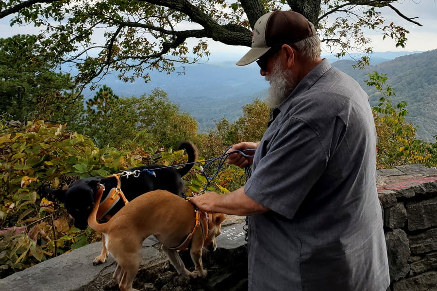 Brian and Dogs at Blue Ridge Parkway Overlook